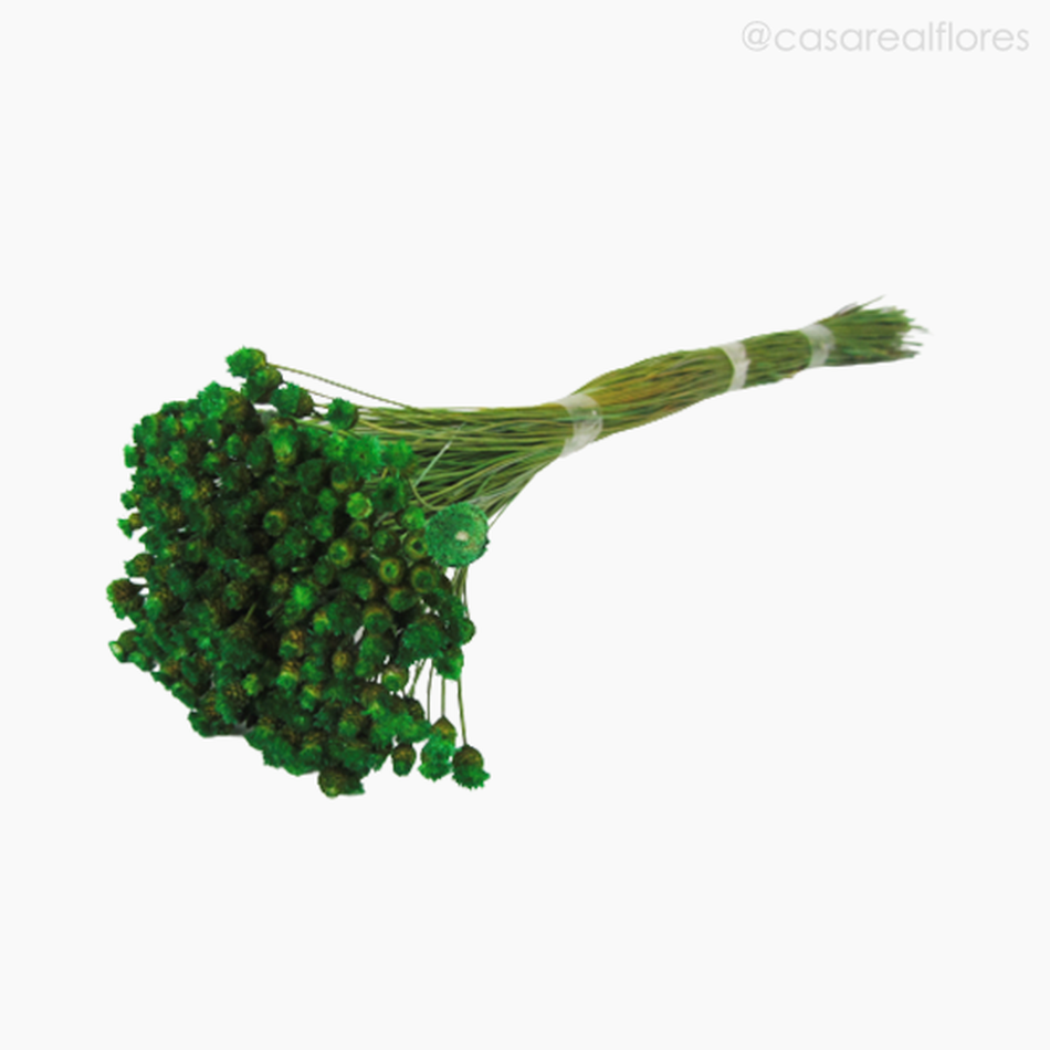 Imagem 4 do produto Jasida Seca - Verde Claro (1193110)