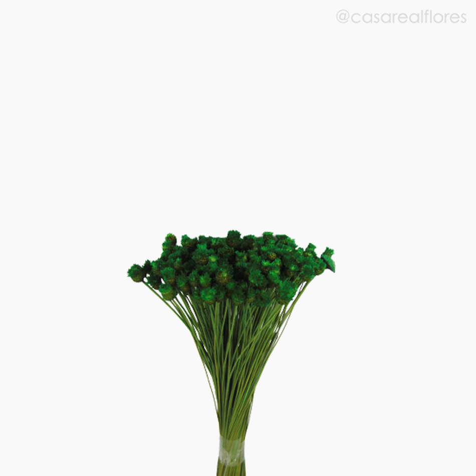 Imagem 3 do produto Jasida Seca - Verde Claro (1193110)
