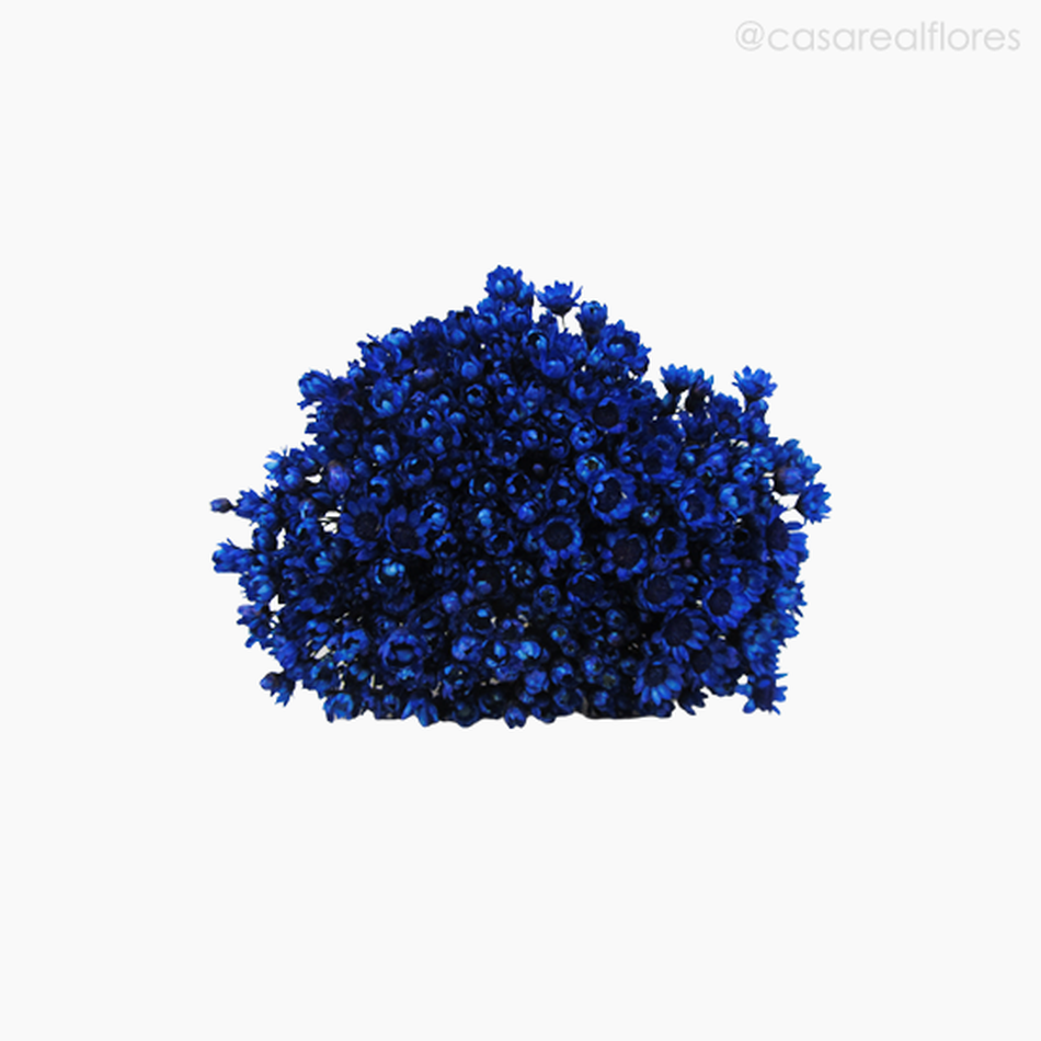 Imagem 5 do produto Sempre Viva Natural Seca - Azul Escuro (0120089)