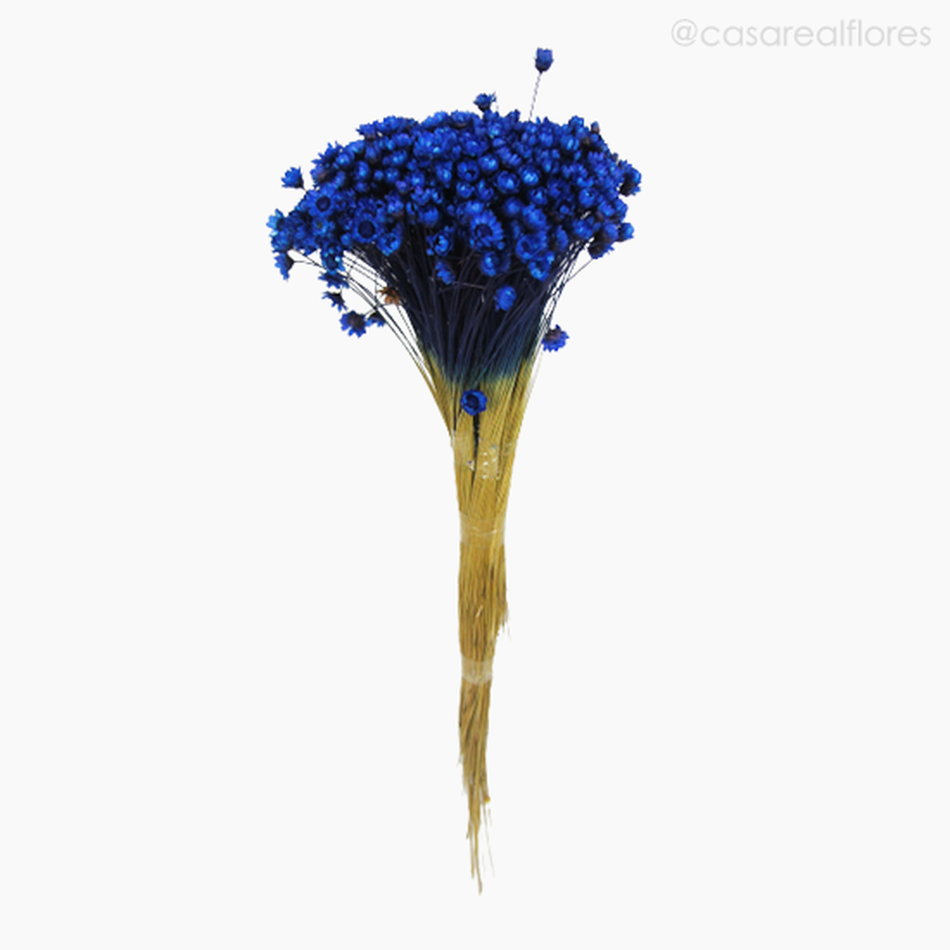 Imagem 1 do produto Sempre Viva Natural Seca - Azul Escuro (0120089)