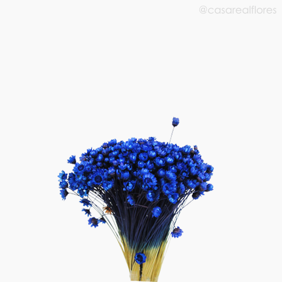 Imagem 3 do produto Sempre Viva Natural Seca - Azul Escuro (0120089)
