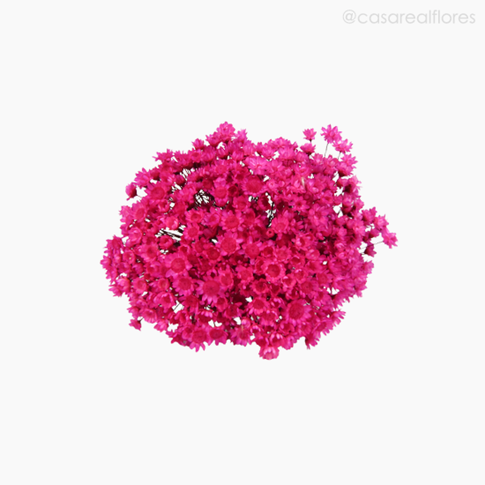 Imagem 5 do produto Sempre Viva Natural Seca - Rosa Escuro (0120088)