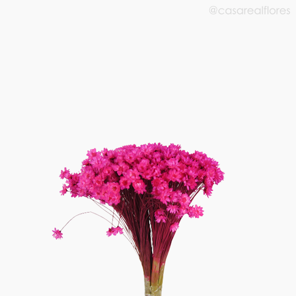 Imagem 3 do produto Sempre Viva Natural Seca - Rosa Escuro (0120088)