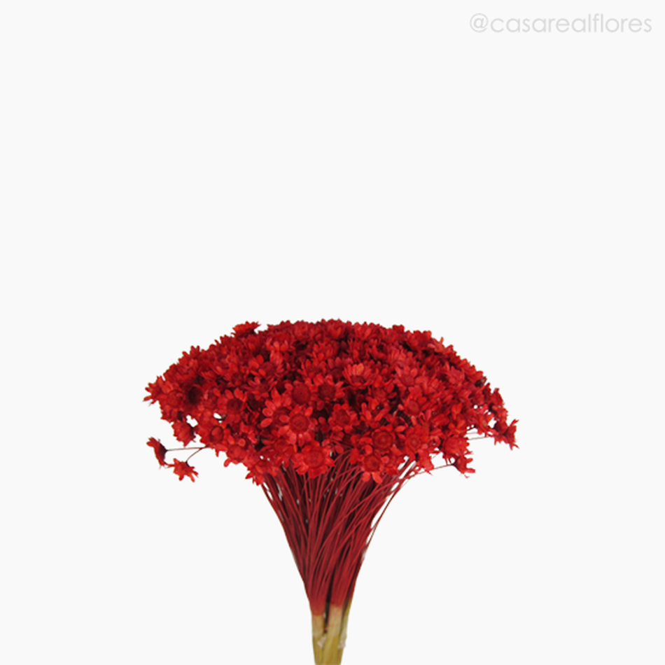 Imagem 3 do produto Sempre Viva Natural Seca - Vermelho (0120086)