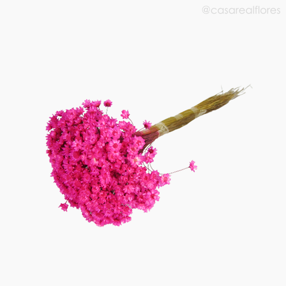 Imagem 4 do produto Sempre Viva Natural Seca - Rosa Escuro (0120088)