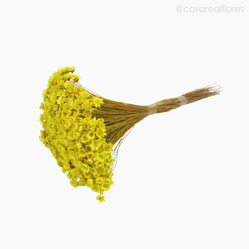 Imagem 4 do produto Sempre Viva Natural Seca - Amarelo (01200812)