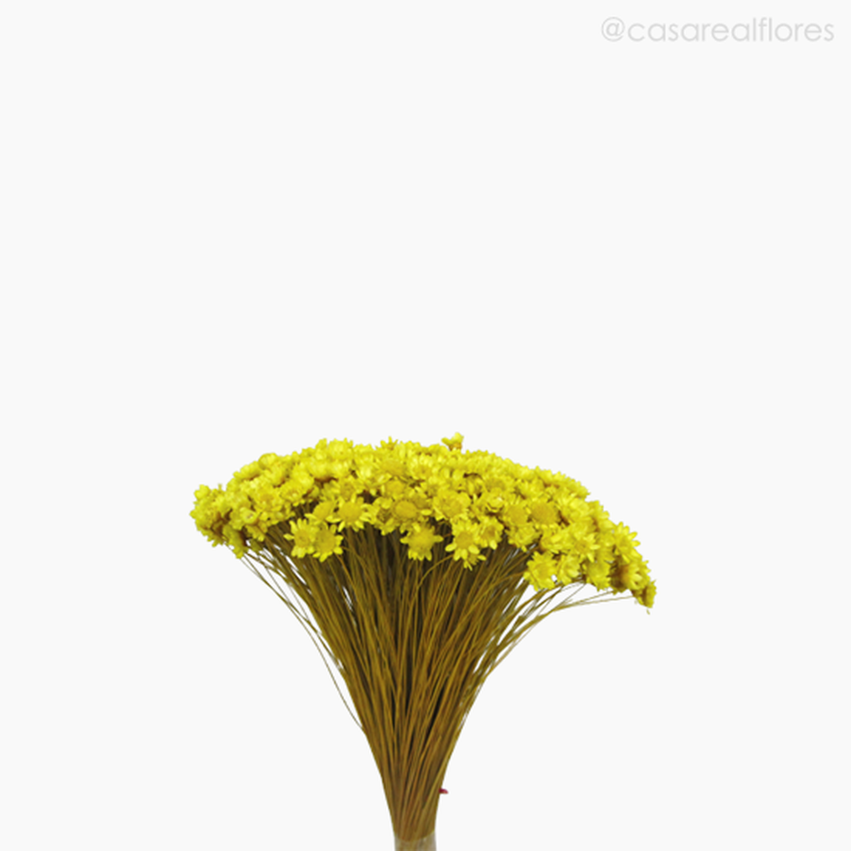 Imagem 3 do produto Sempre Viva Natural Seca - Amarelo (01200812)