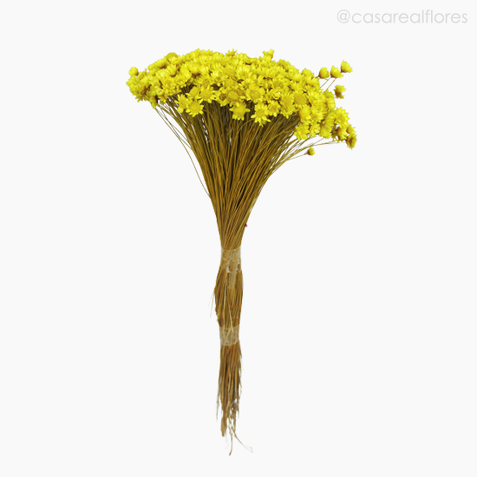 Imagem 1 do produto Sempre Viva Natural Seca - Amarelo (01200812)