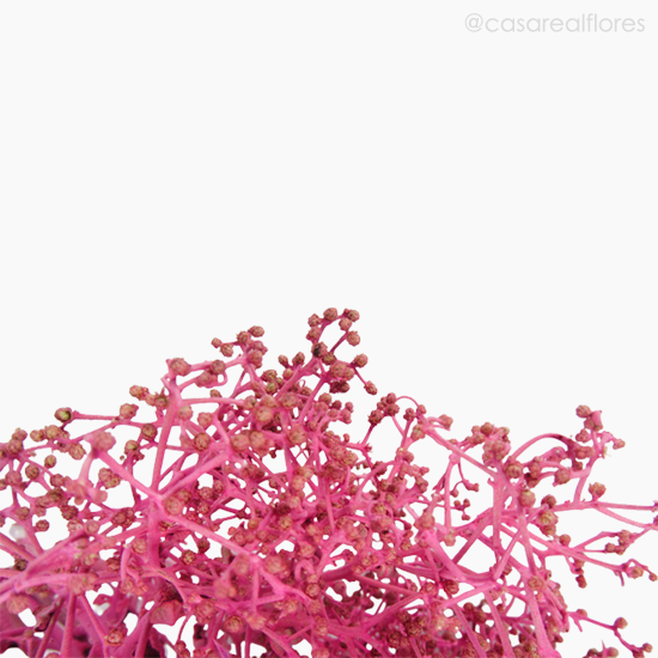 Imagem 6 do produto Dedinho Natural Seco - Rosa (0121688)