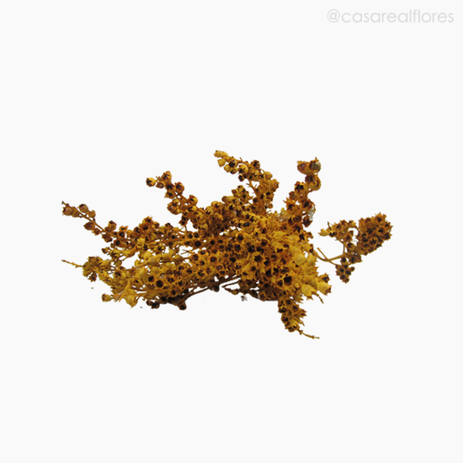 Imagem 5 do produto Ramo Coroinha Natural Seco - Amarelo (01205512)