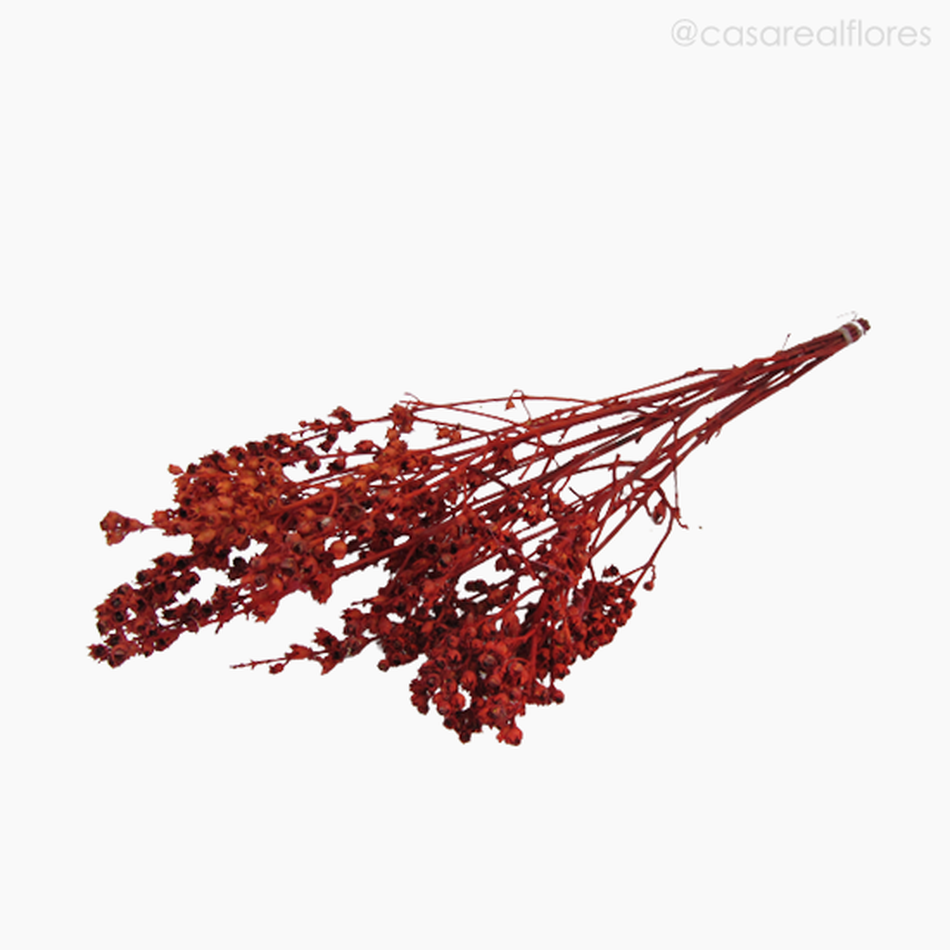 Imagem 4 do produto Ramo Coroinha Natural Seco - Vermelho (0120556)