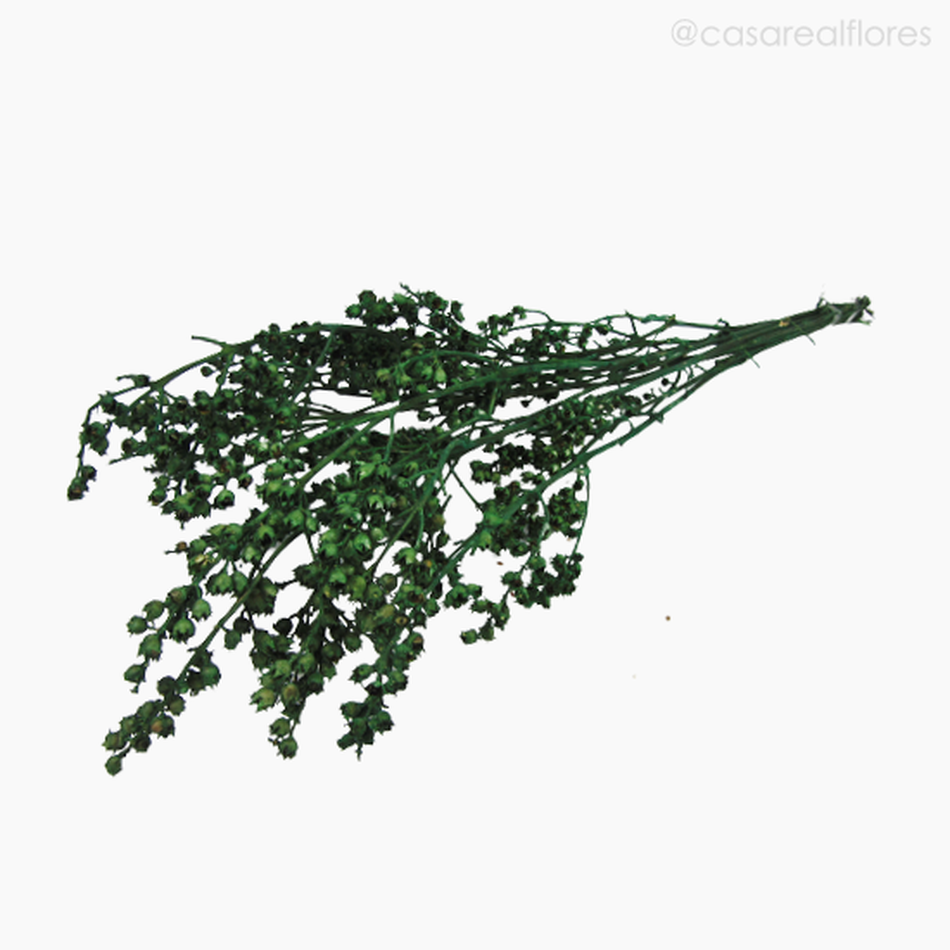 Imagem 4 do produto Ramo Coroinha Natural Seco - Verde (01205510)