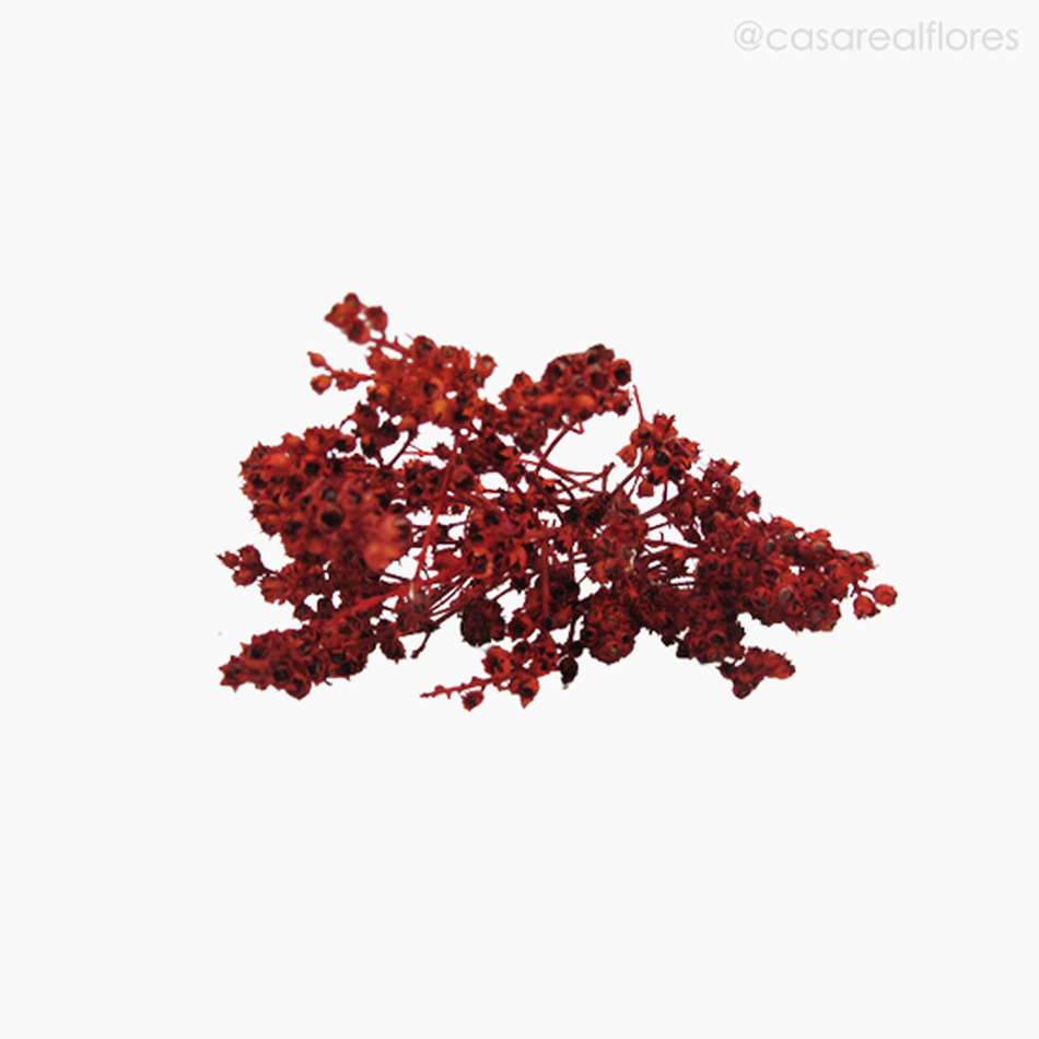 Imagem 5 do produto Ramo Coroinha Natural Seco - Vermelho (0120556)