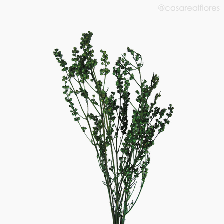 Imagem 3 do produto Ramo Coroinha Natural Seco - Verde (01205510)