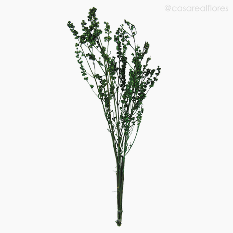 Imagem 1 do produto Ramo Coroinha Natural Seco - Verde (01205510)