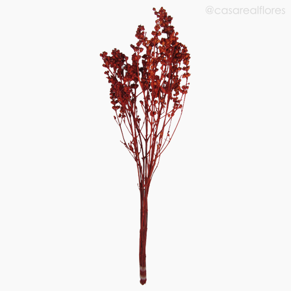 Imagem 1 do produto Ramo Coroinha Natural Seco - Vermelho (0120556)