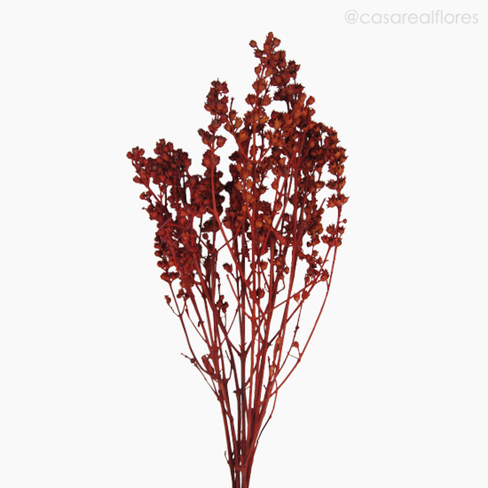 Imagem 3 do produto Ramo Coroinha Natural Seco - Vermelho (0120556)