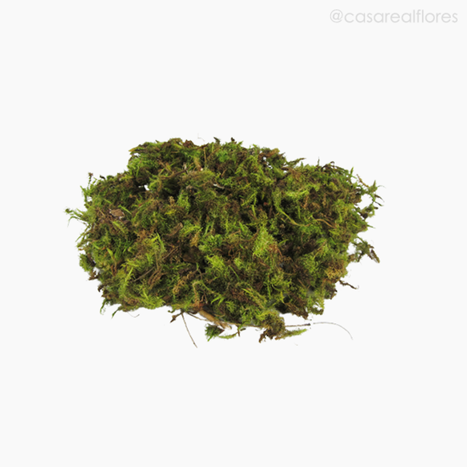 Imagem 3 do produto Musgo Verde Natural Seco - Pacote C/ 100 gr (010954)