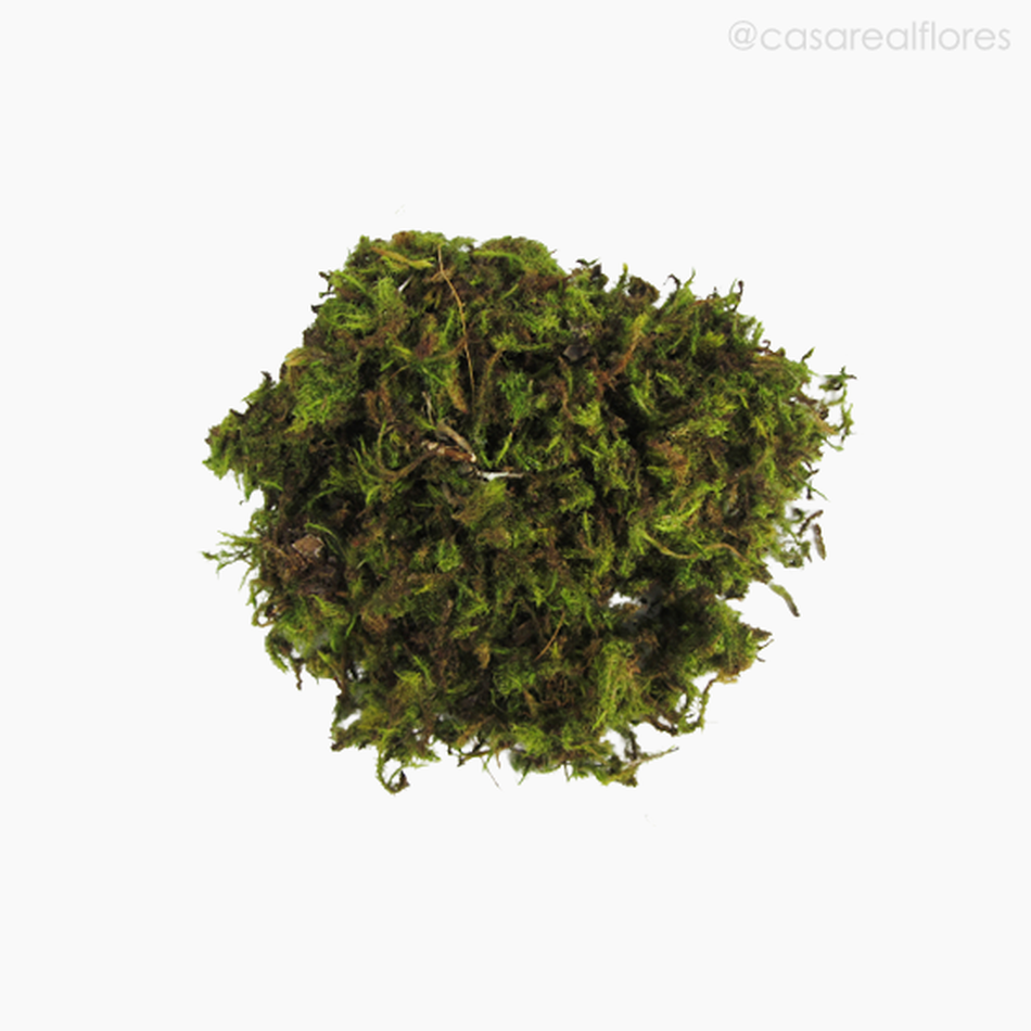 Imagem 1 do produto Musgo Verde Natural Seco - Pacote C/ 100 gr (010954)