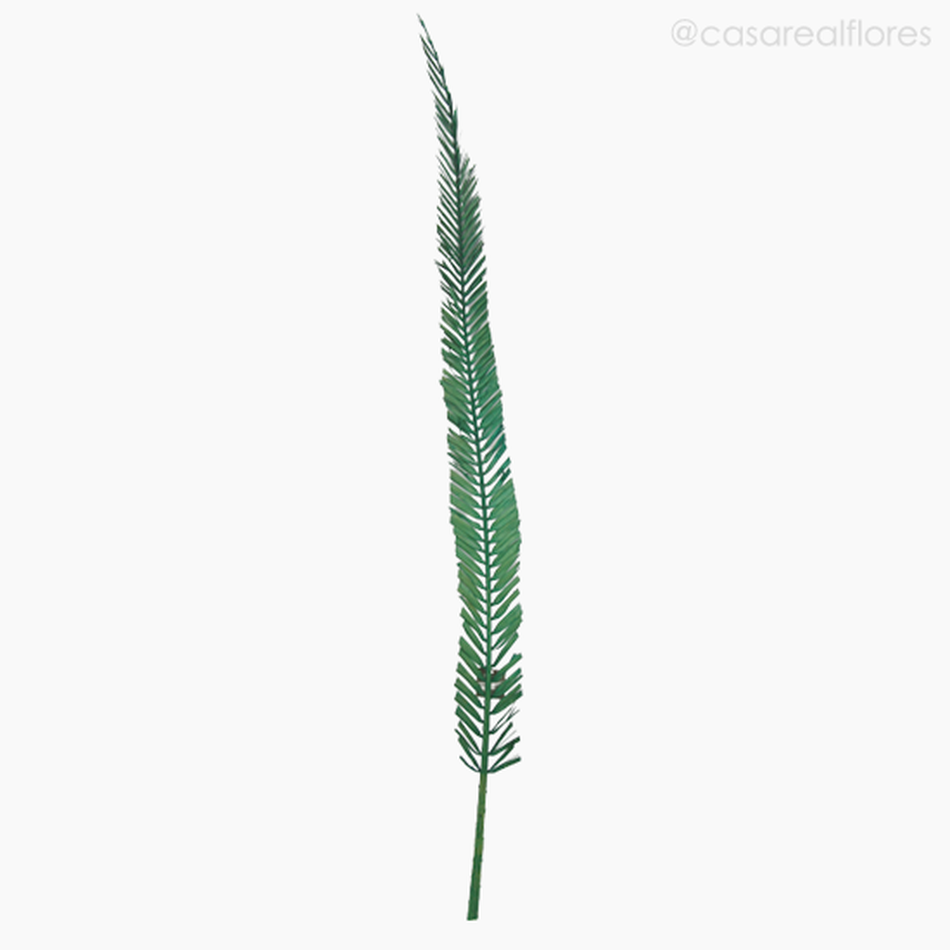 Imagem 1 do produto Palmeira Natural Seca Longa - Verde (01238310)