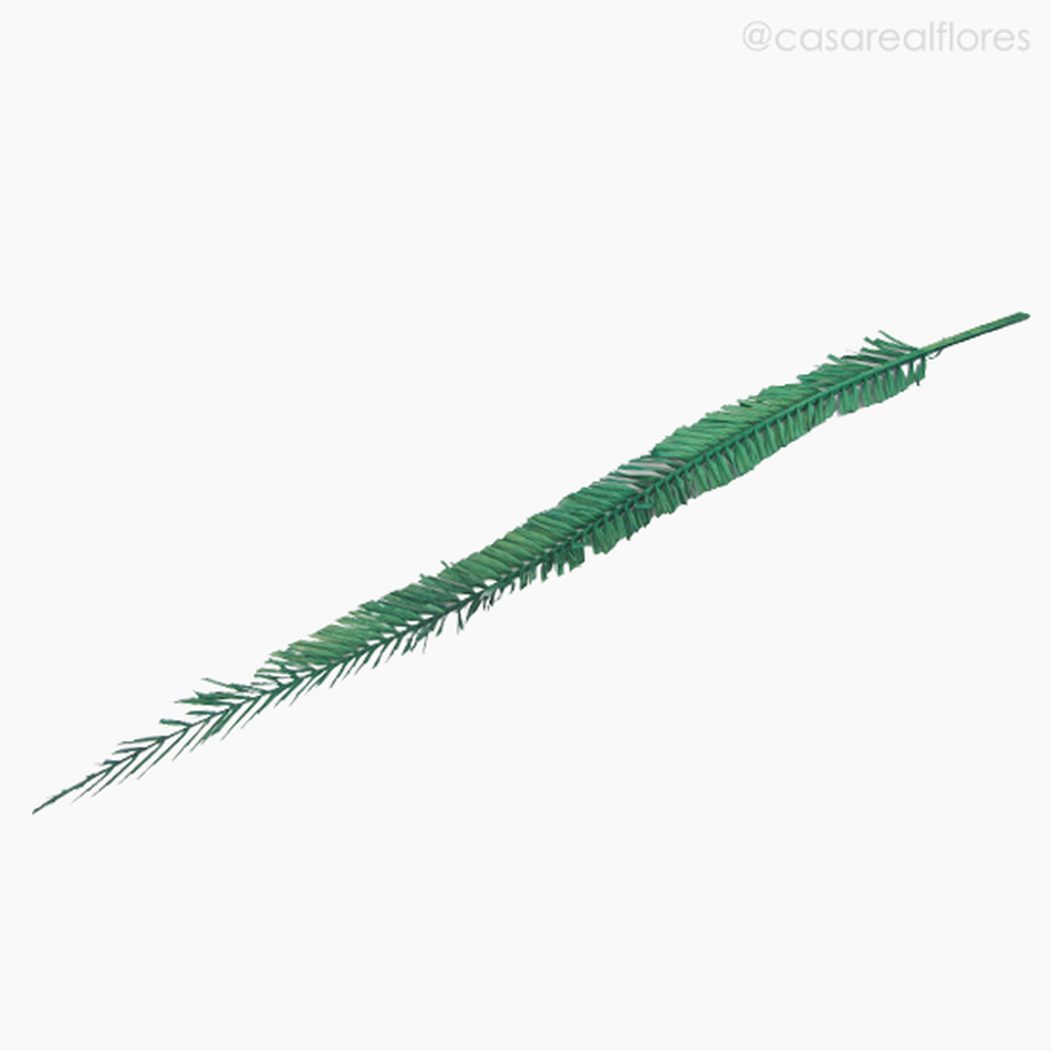 Imagem 4 do produto Palmeira Natural Seca Longa - Verde (01238310)