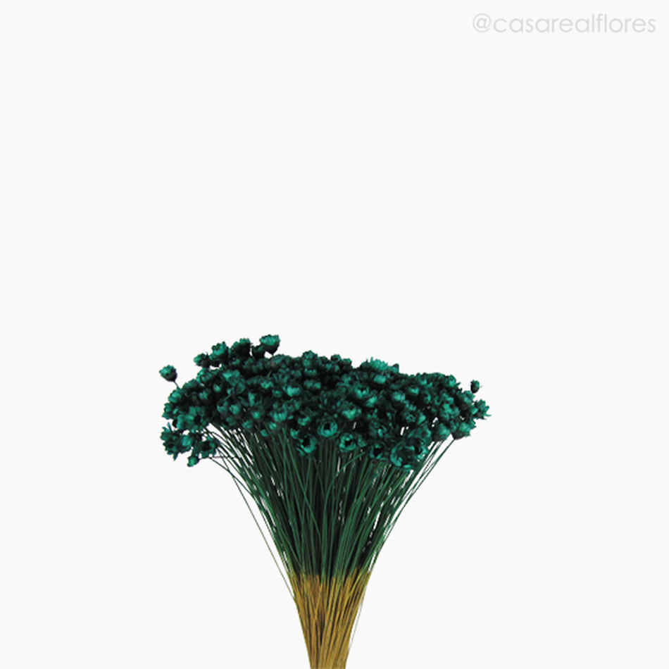 Imagem 3 do produto Sempre Viva Natural Seca - Verde Escuro (01200810)