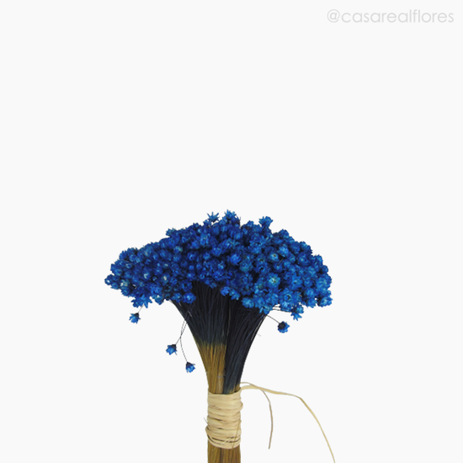 Imagem 3 do produto Buquê de Sempre Viva - Azul Escuro (0122209)