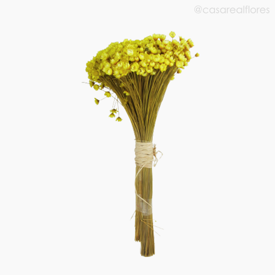 Imagem 1 do produto Buquê de Sempre Viva - Amarelo (01222012)