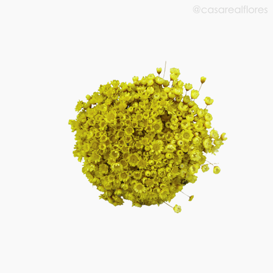 Imagem 5 do produto Buquê de Sempre Viva - Amarelo (01222012)