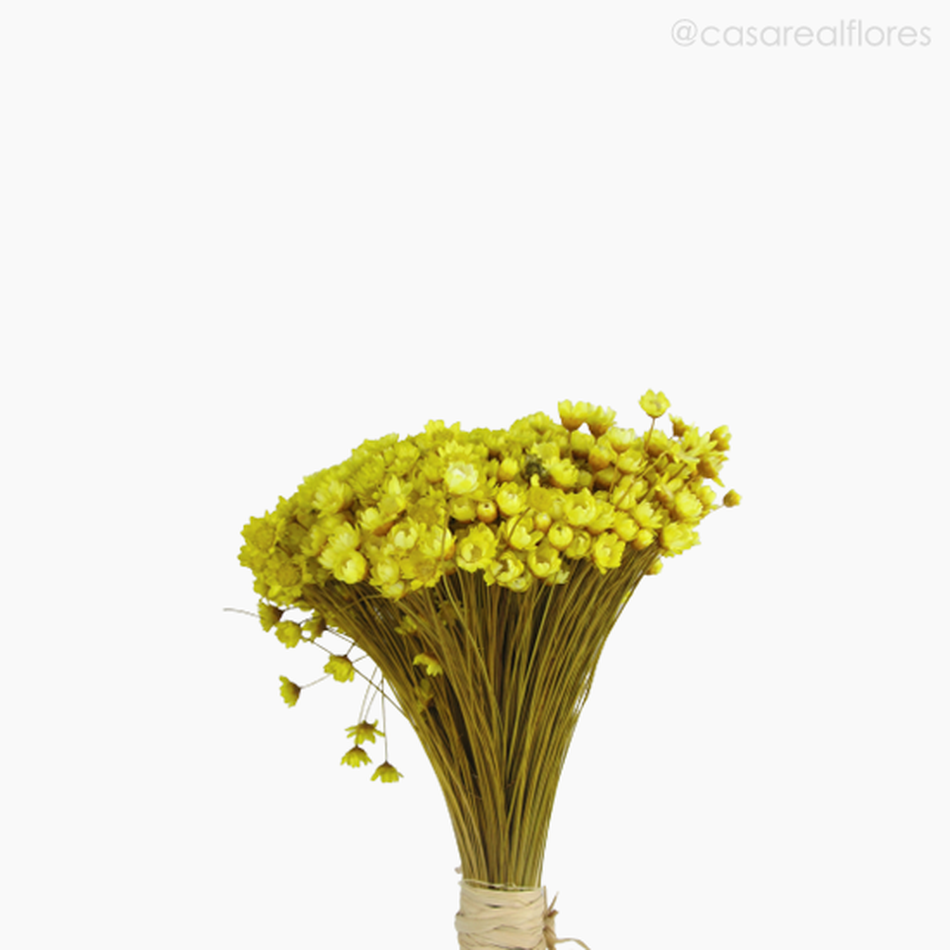Imagem 3 do produto Buquê de Sempre Viva - Amarelo (01222012)