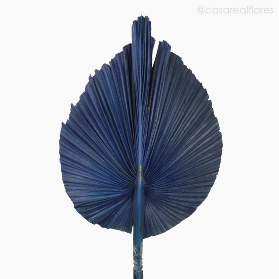 Imagem 3 do produto Folha de Latania Leque Azul Seca G (0120419)
