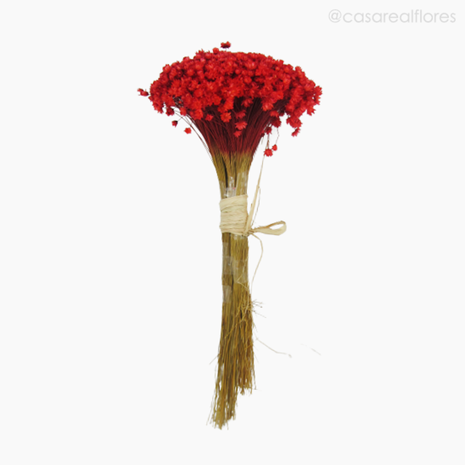 Buquê de Sempre Viva - Vermelho (0122206) - Casa Real Flores e Decorações