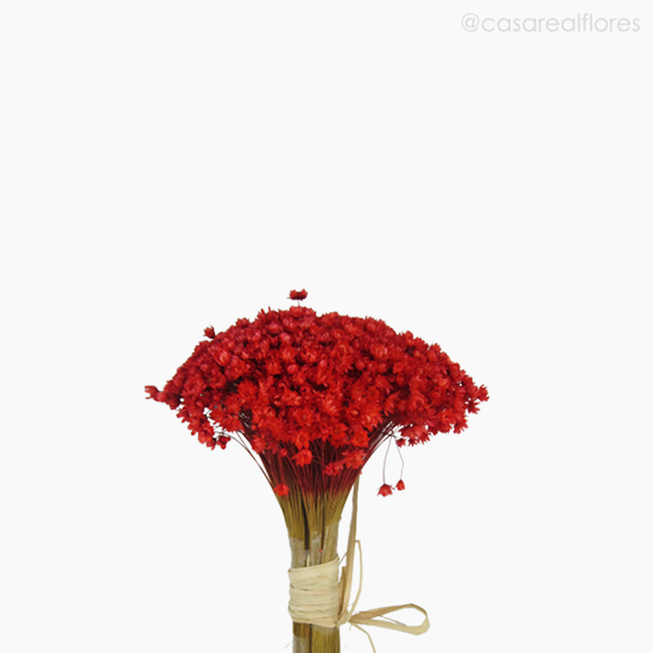 Imagem 3 do produto Buquê de Sempre Viva - Vermelho (0122206)