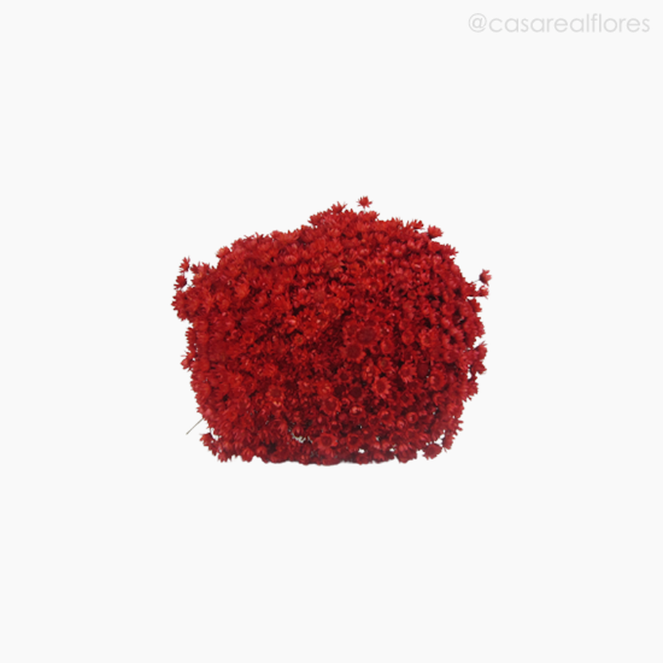 Imagem 5 do produto Buquê de Sempre Viva - Vermelho (0122206)