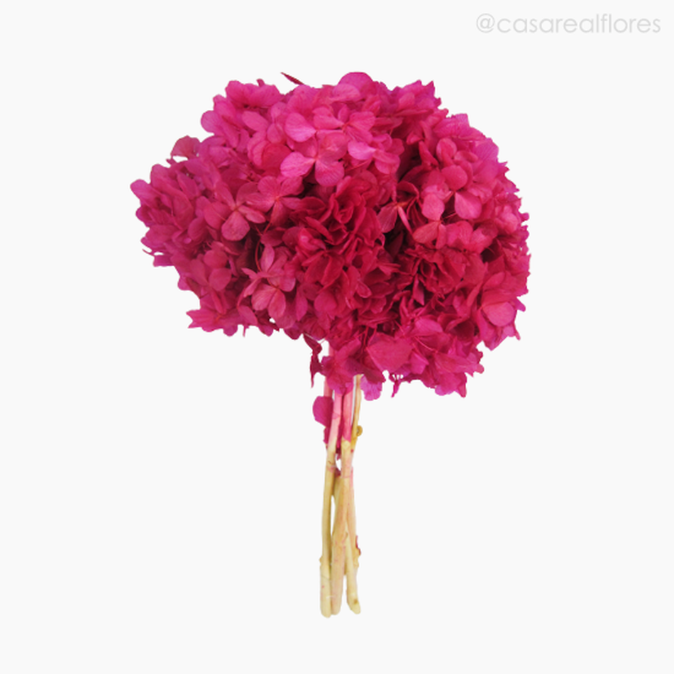 Imagem 1 do produto Buquê de Hortênsia Seca - Rosa Escuro (0120158)
