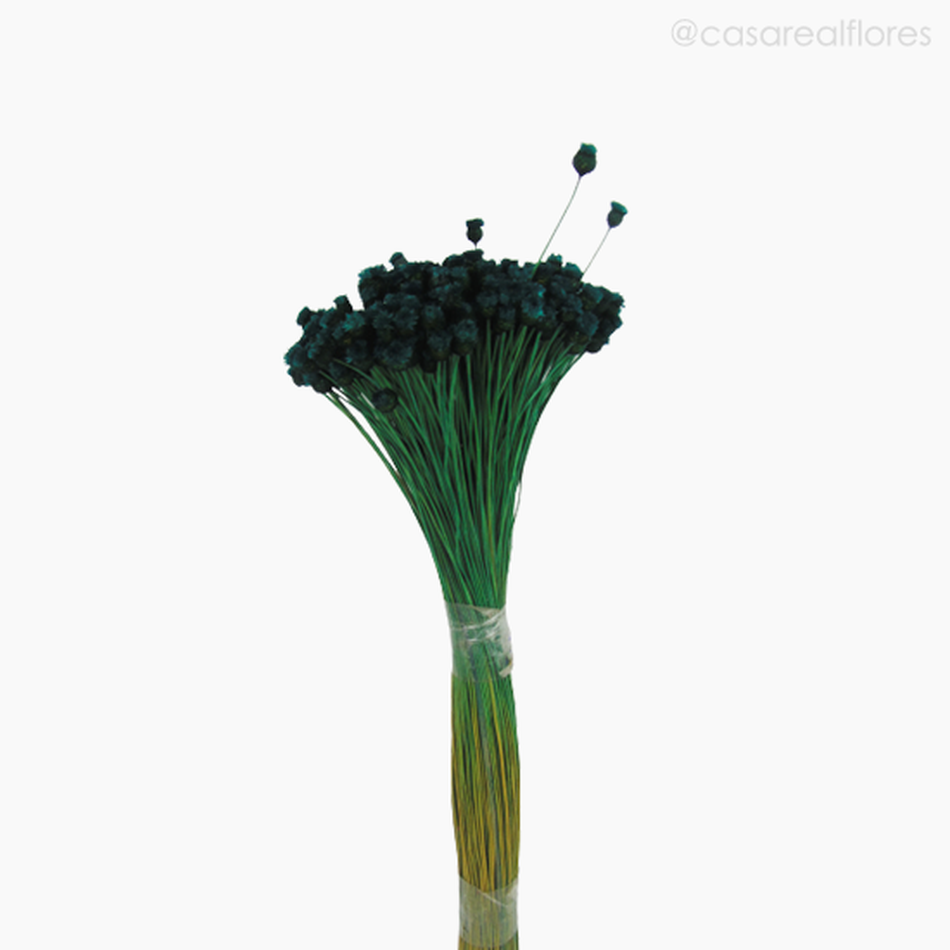 Imagem 3 do produto Jasida Seca - Verde Escuro (01193110)