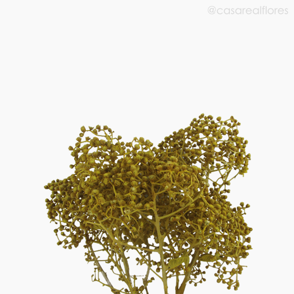 Imagem 3 do produto Dedinho Natural Seco - Amarelo (01216812)