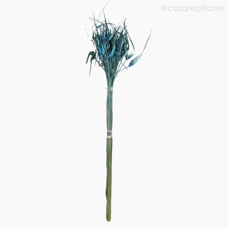 Imagem 1 do produto Capim Estrela Seco - Azul (0120179)