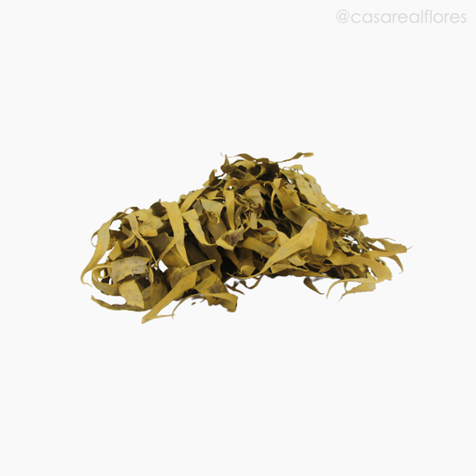 Imagem 5 do produto Eucalipto Citrodoro Desidratado - Amarelo (01216112)