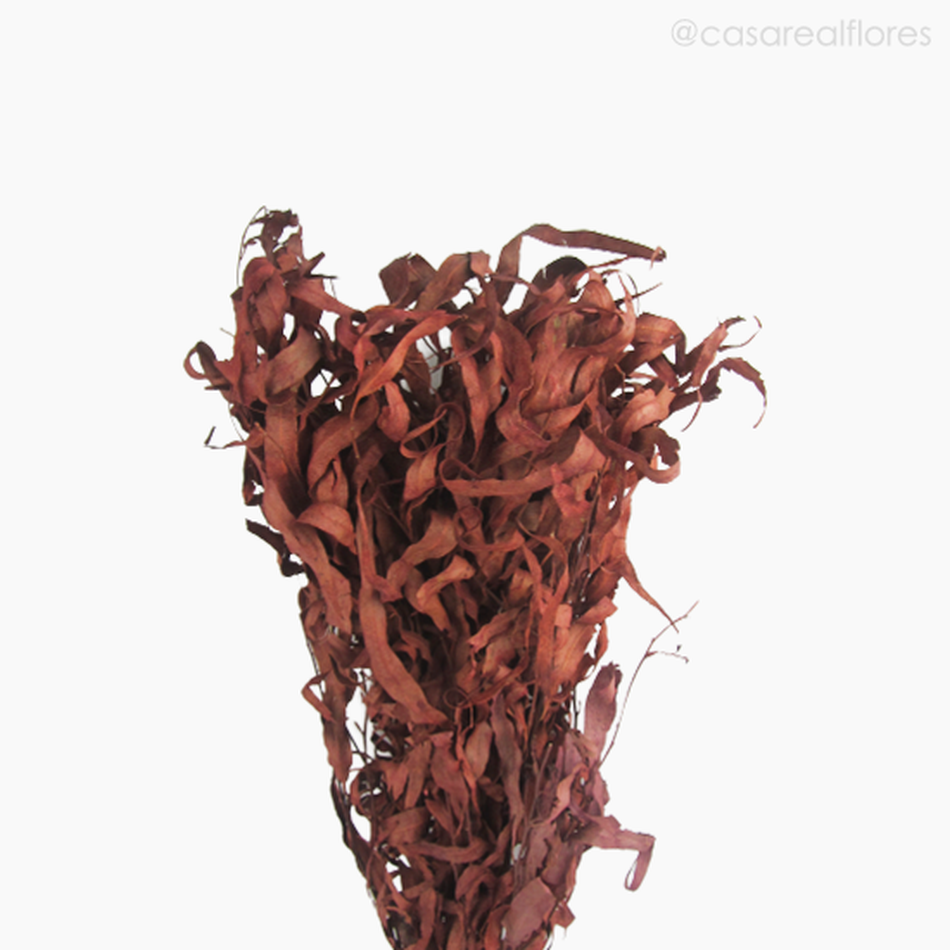 Imagem 3 do produto Eucalipto Citrodoro Desidratado - Rosa (0121618)