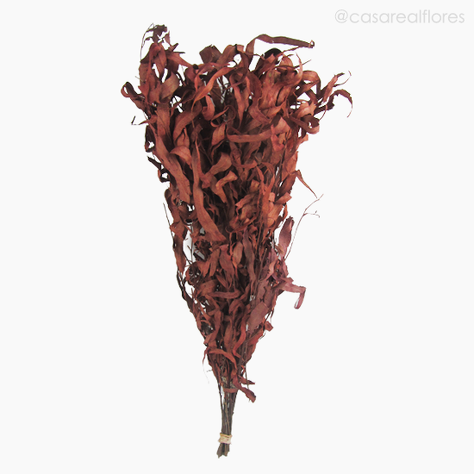 Imagem 1 do produto Eucalipto Citrodoro Desidratado - Rosa (0121618)