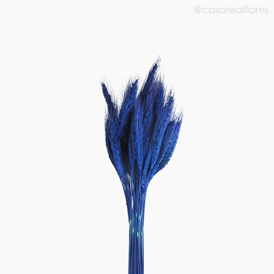 Imagem 3 do produto Trigo Colorido Seco - Azul (0111649)