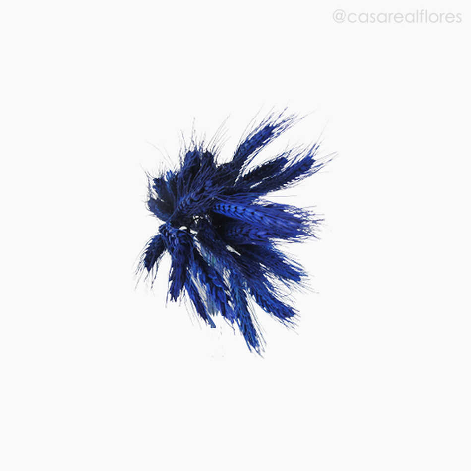 Imagem 5 do produto Trigo Colorido Seco - Azul (0111649)