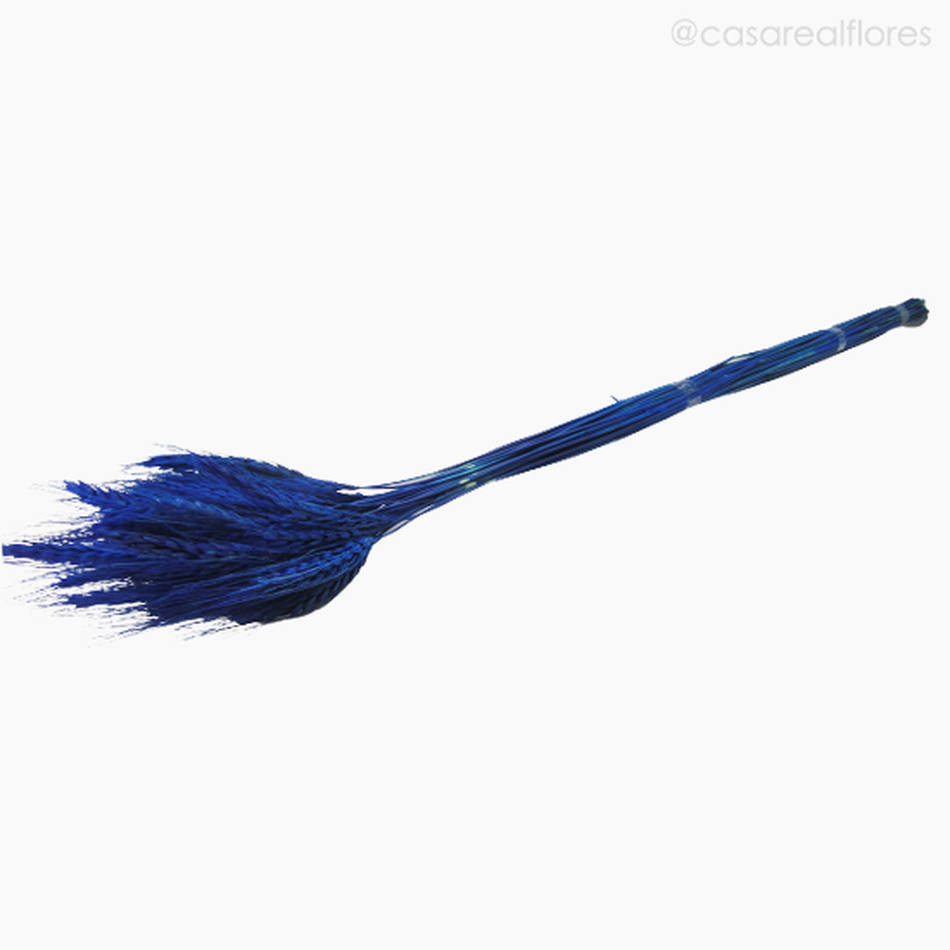 Imagem 4 do produto Trigo Colorido Seco - Azul (0111649)