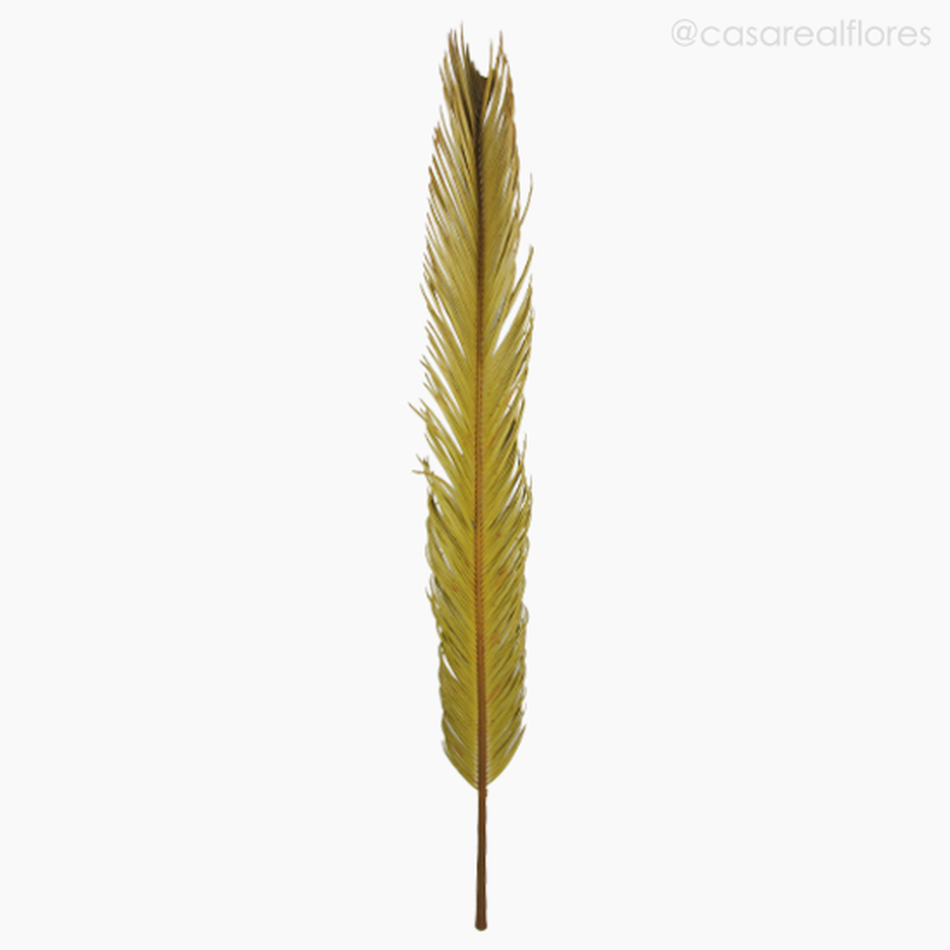 Imagem 1 do produto Folha de Palmeira Cica Seca - Natural (012256)