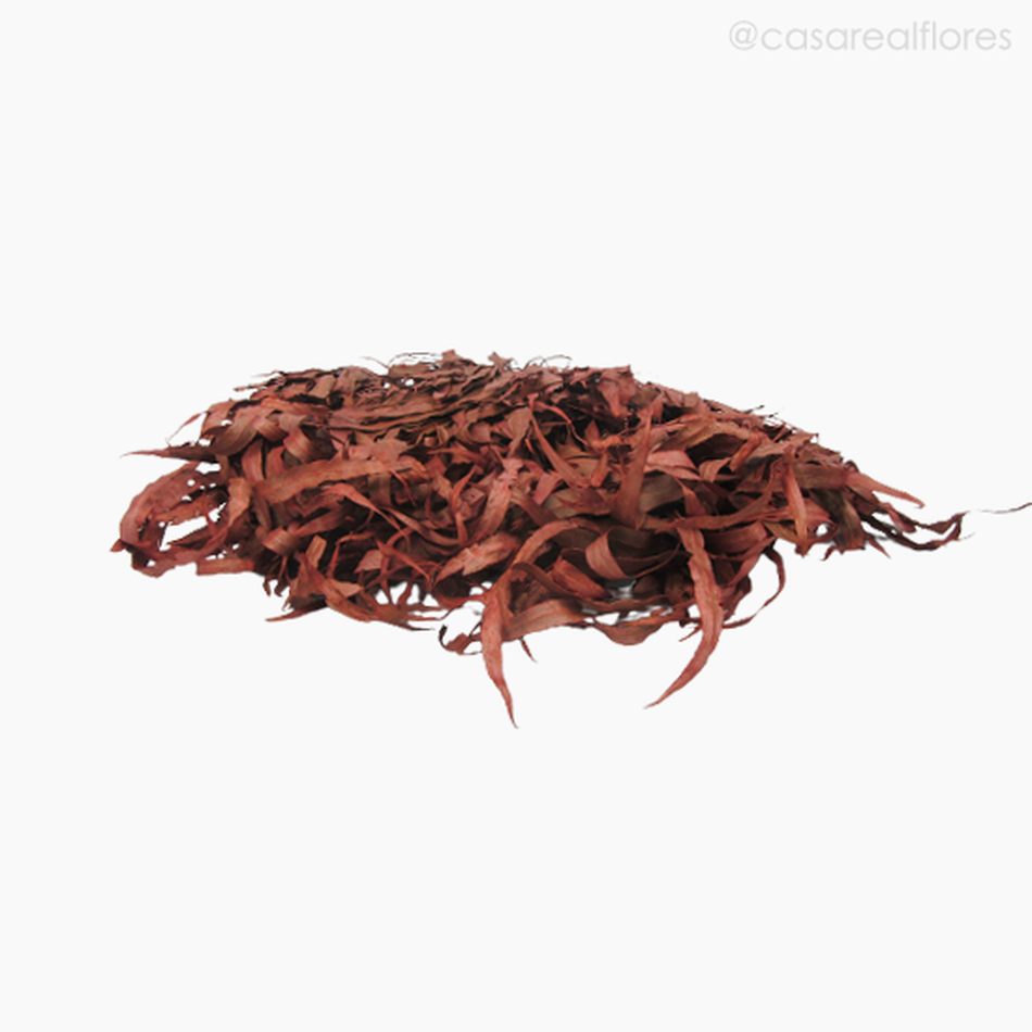 Imagem 5 do produto Eucalipto Citrodoro Desidratado - Vermelho (0121616)