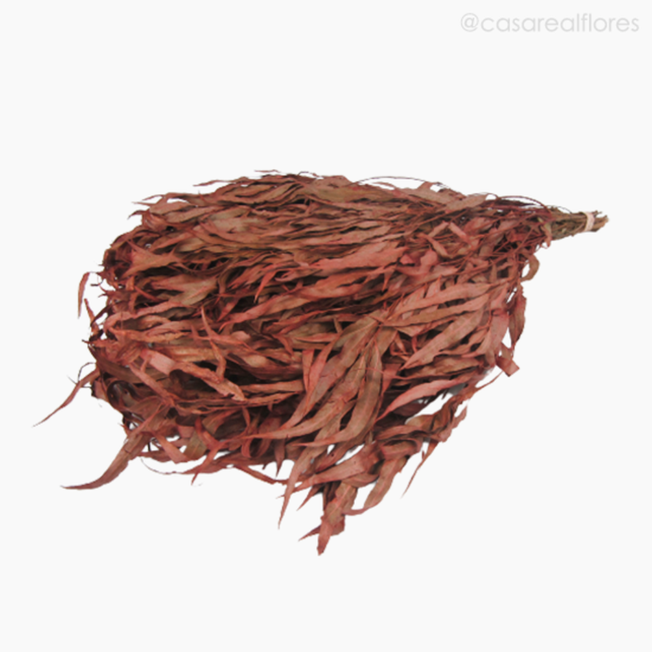 Imagem 4 do produto Eucalipto Citrodoro Desidratado - Vermelho (0121616)