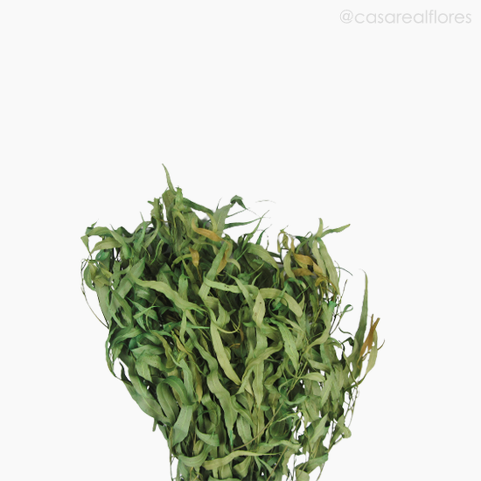 Imagem 3 do produto Eucalipto Citrodoro Desidratado - Verde (01216110)