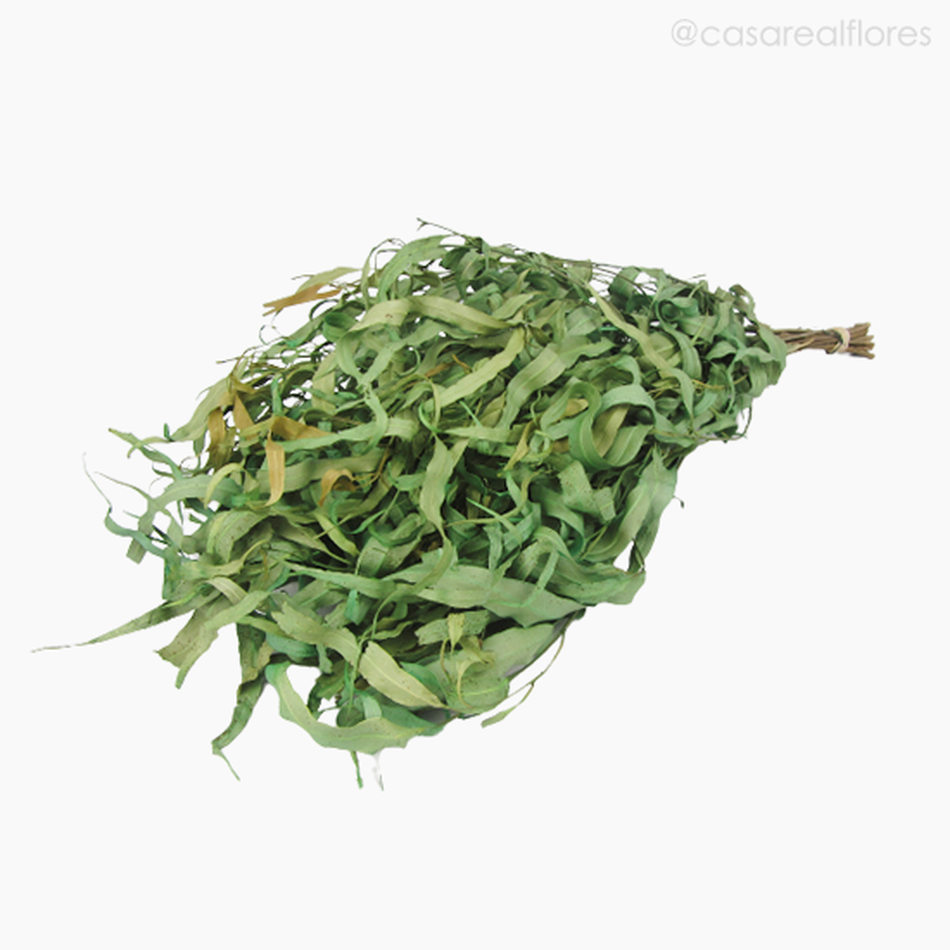 Imagem 4 do produto Eucalipto Citrodoro Desidratado - Verde (01216110)