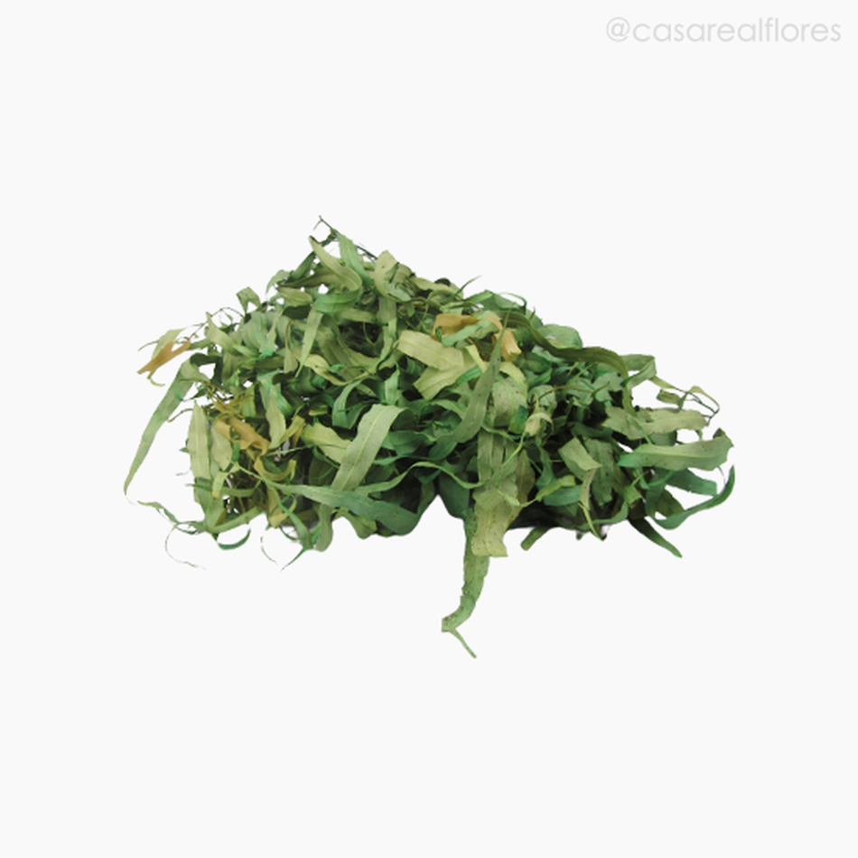 Imagem 5 do produto Eucalipto Citrodoro Desidratado - Verde (01216110)